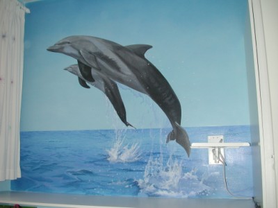 Dolphin mural in boys bedroom